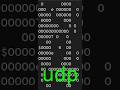 03. mmo rpg [c/c++ programming]. 02.udp. 01.Set player number for each client. 00.
