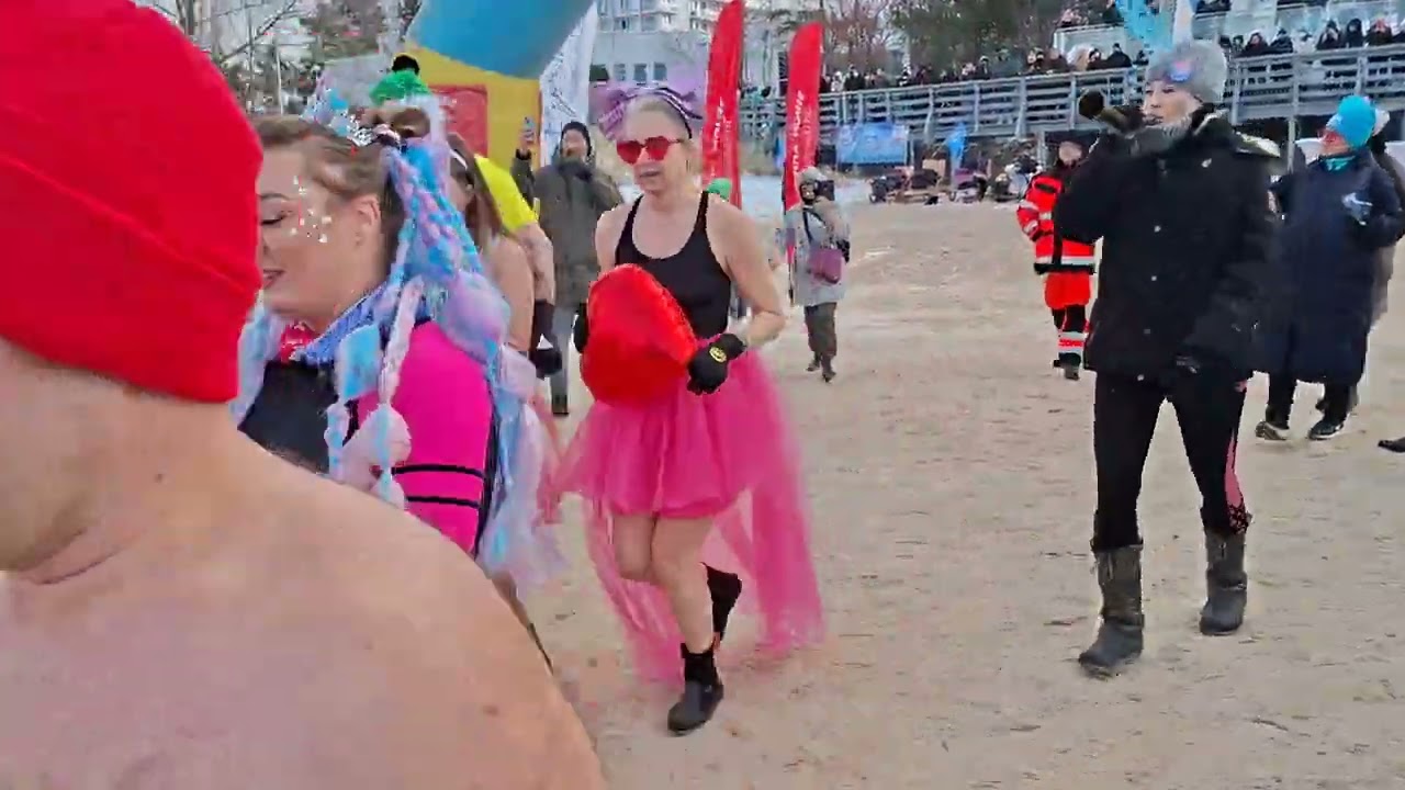 Morsy w Międzyzdrojach 