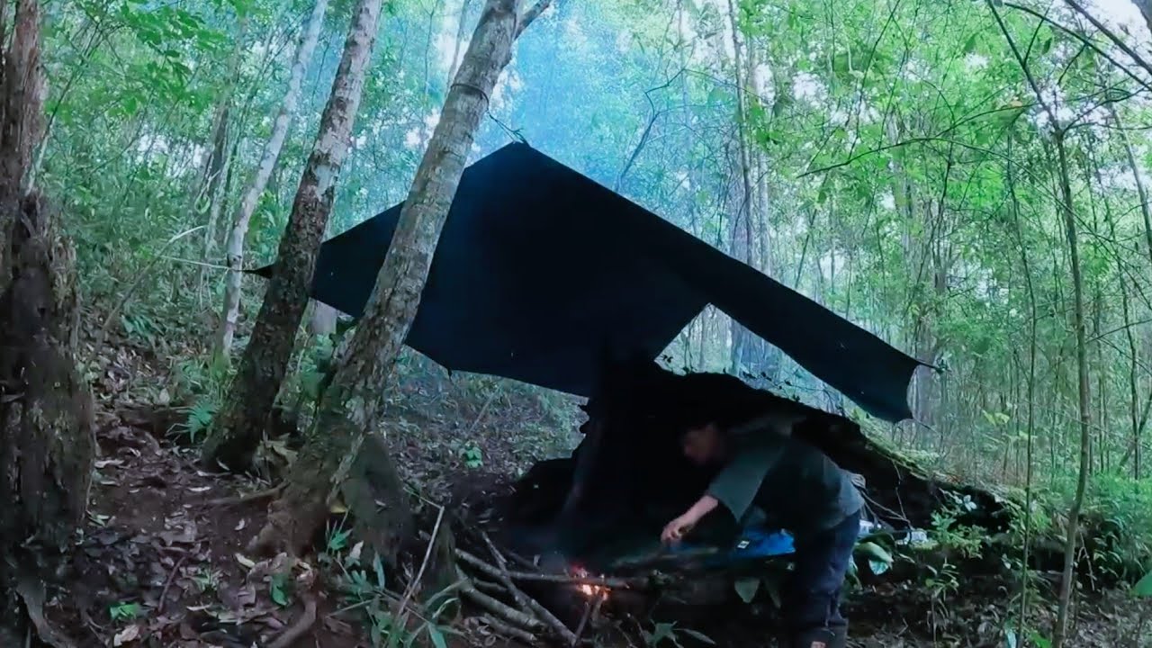 เดินป่า เจอพายุ นอนที่พักโพรงไม้