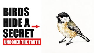 Your Backyard Birds Are Hiding Something—Here’s What It Is
