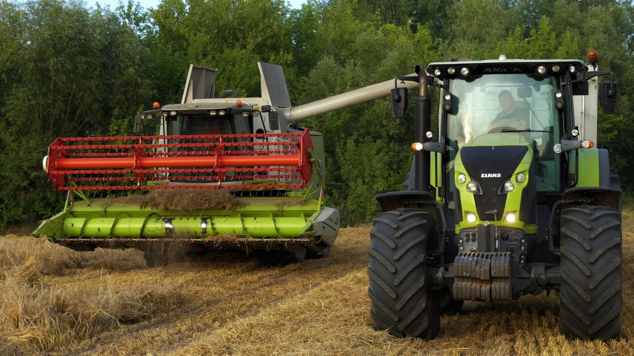 Żniwa z CLAAS-Ą 2019 w GR. Migdalscy ☆ Claas Tucano 420 ☆ Claas Axion 850