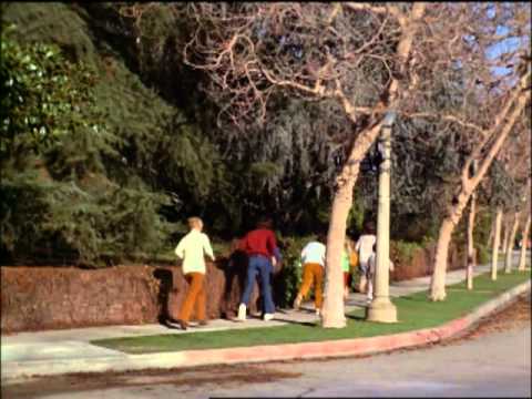 The Brady Bunch - Can't Feel Anything