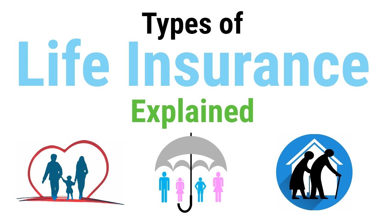 Different Types Of Life Insurance Chart