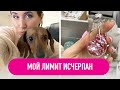 ОРГАНИЗМ ГОТОВИТСЯ К ЗИМЕ | ПРОДУКТОВЫЕ ПОКУПКИ | ПОДАРКИ С ВОЛЫНИ