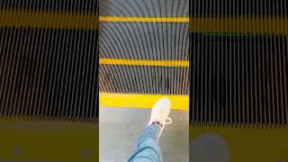 IMG 3938