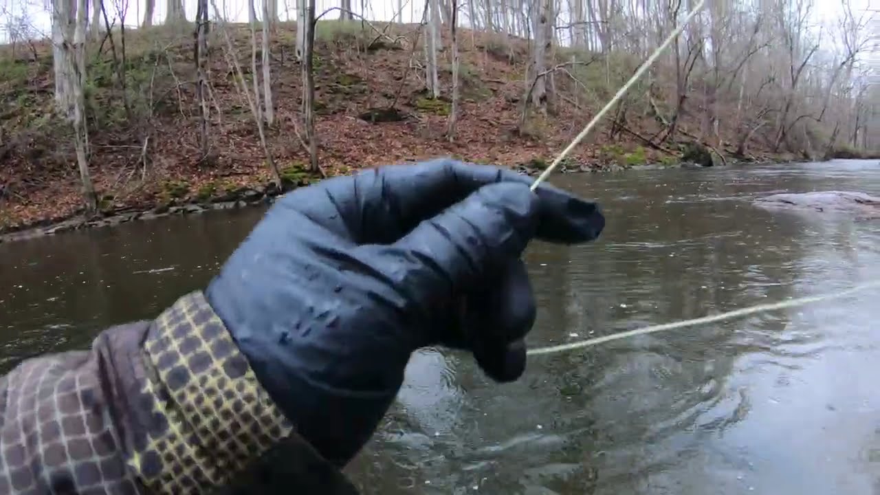Rainbow Trout caught on a Pink Streamer
