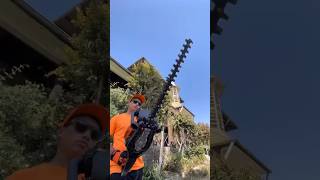 Mantén Tus Setos Ordenados, Limpios, Y Saludables Con La Cortasetos Van Beek Vb60S