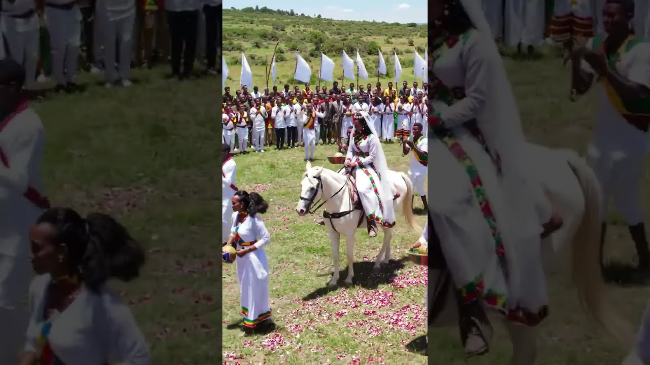 Ethiopian Bride on the Golden Plains 👑🇪🇹 |  A Royal Wedding Like No Other