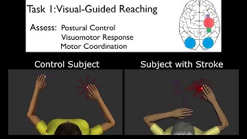 Visual-Guided Reaching