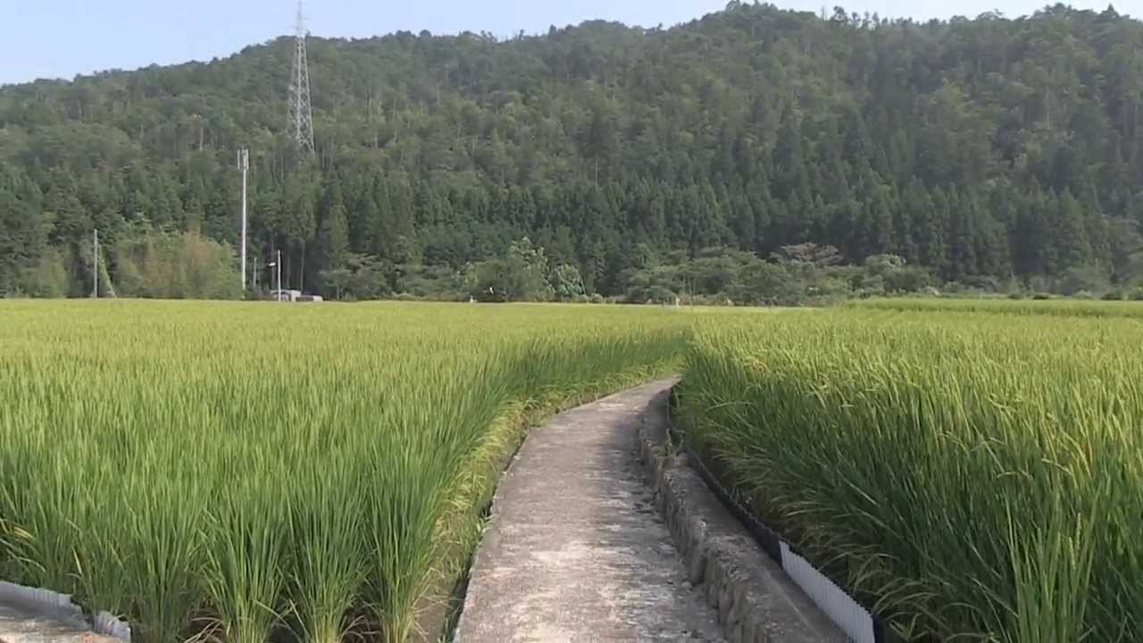 日本の田園風景 Youtube