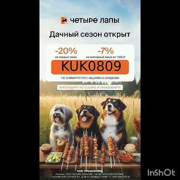 Промокод на скидку в интернет магазин Четыре Лапы, работает до 31.05 ...