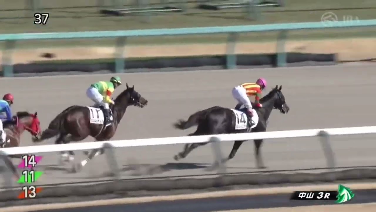 2025年1月26日中山3R 3歳未勝利 ダート1800m ロッシニアーナ - YouTube