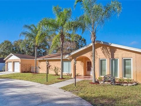 16110 N 15TH STREET, Lutz, FL home video tour