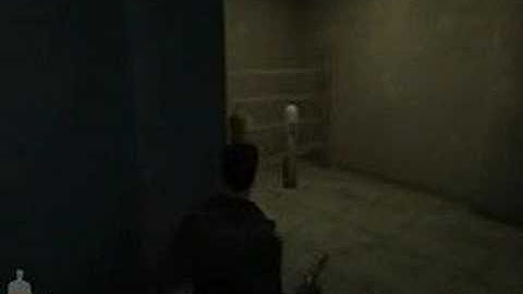 Max Payne Story Run - Part I, Chapter 5