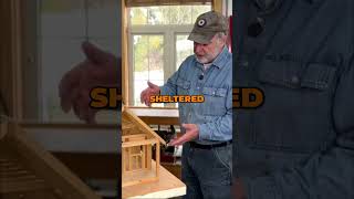 Smart Cabin Design #cabin #diycabin #stevemaxwell