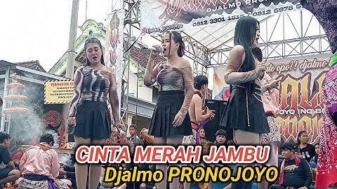 Cinta Merah Jambu - Jhandut JARANAN DJALMO PRONOJOYO LIVE WATUDANDANG PRAMBON