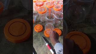 Memanfaatkan Toples Bekas Sosis Dan Gelas Plastik Untuk Pot Tanaman Tanpa Siram