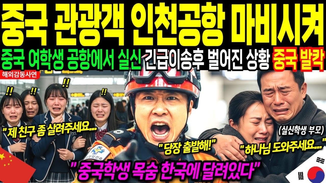 중국이 한국에 전면전 선포 못하는 진짜 이유  대한민국이 희토류 안주는 중국에게 피눈물 흘리게 하고 발칵 뒤집어 버렸다 ㅣ해외감동사연