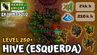 Tibia | THE HIVE (Left Tower) | Level 250+ | Ek Hunt Solo #175 | Henry Knight