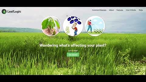 AI-Based Plant Disease Detection | Deep Learning & Computer Vision