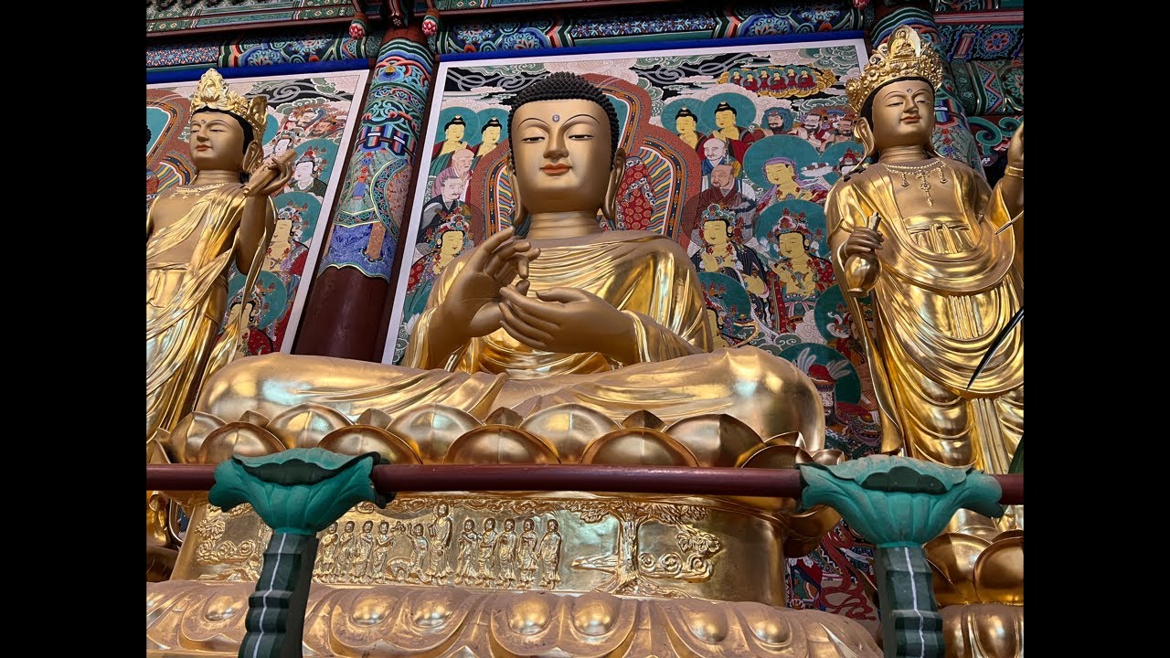 송광사TV 26.1.19 사시불공