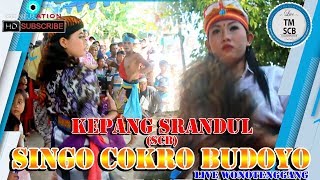 KEPANG SRANDUL SINGO COKRO BUDOYO FT TM