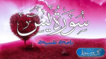 سورة يس ( ياسين) كامله تلاوه تريح القلب والعقل || القرآن الكريم بصوت جميل جدا Surah Yaseen