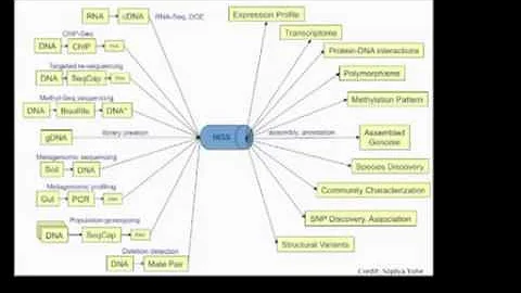 LMP: Genomics Approaches in Treating Genetic Disea...