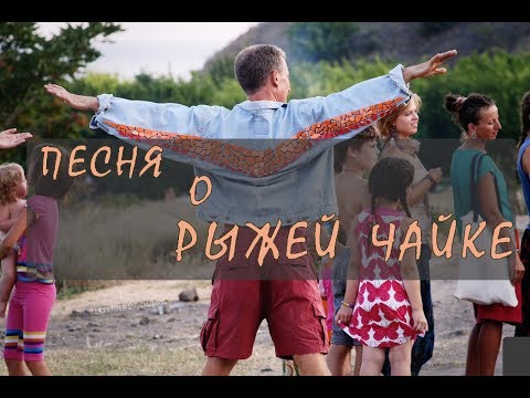 Песня о Рыжей Чайке