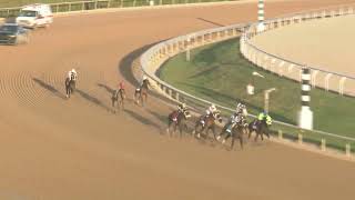 Gulfstream Park March 7, 2026 Race 11 Head On