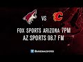 3 O'Clock Feeding - Coyotes vs Flames