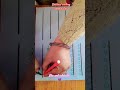 Brain 🧠 activity game #