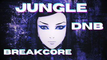 Heavenly jungle, dnb, breakcore Mix (1 Hour playlist)