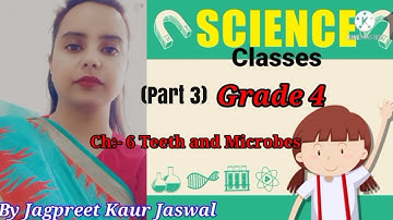 Grade 4 Science Chapter 6 Teeth and Microbes (Part 3) video lecture