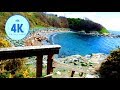 4K Virtual Walk - Green path and Waves crashing - Victoria BC