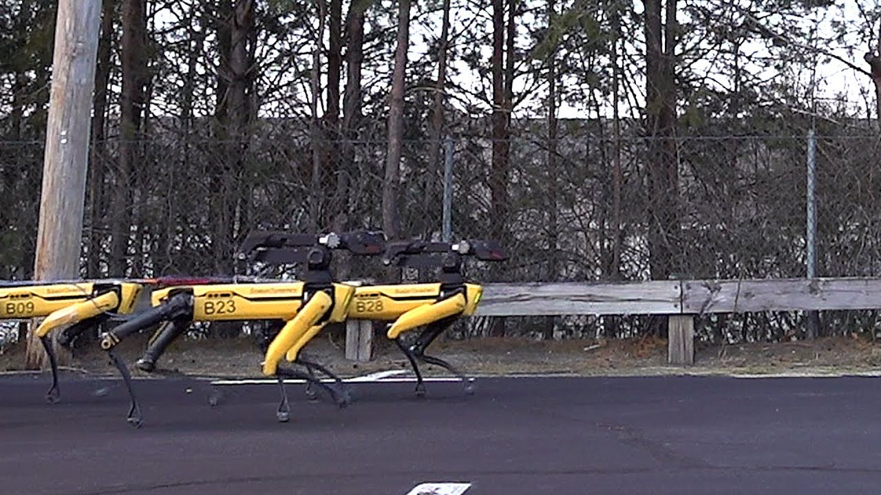 #видео | Роботы SpotMini от Boston Dynamics тянут за собой огромный грузовик. Фото.