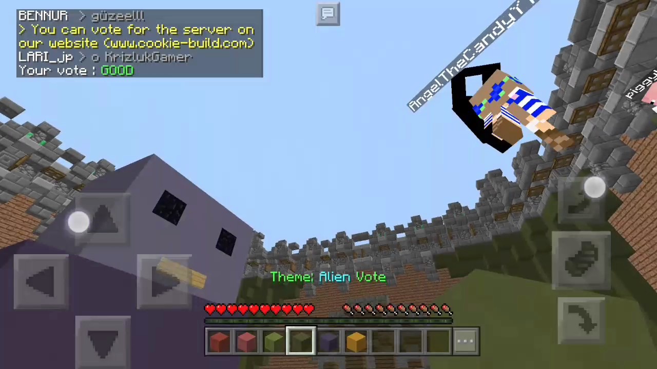 random gaming server in Minecraft - YouTube
