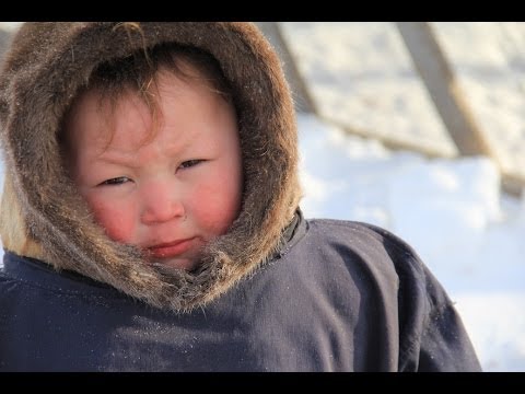 Vidéo: Rencontre D'écoliers Avec Bigfoot Dans Le Quartier Yamal-Nenets - Vue Alternative