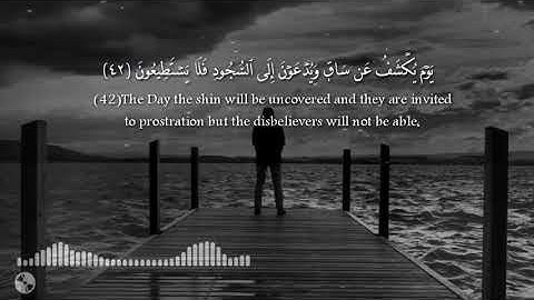 تلاوة هادئة بصوت القارئ|ياسين أبها|ستعيد المقطع من جمال صوته