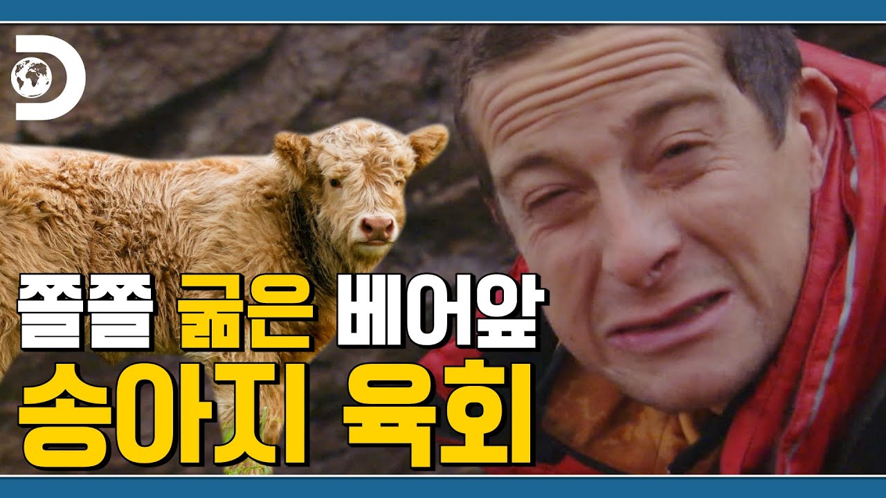 (파타)고니야 육회 한점 찔러봐라 🐮 쫄쫄 굶은 베어에게 육회 주는 라울좌 [Man VS Wild]