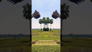 JCB BUCKET WALA 🔥🤪🔥#jcb #tractor #excavator #vairalvideo #bassboosted #ytshortsindia #jcbwala#bucket