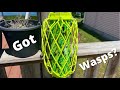 How to get rid of wasps around your deck or home.
