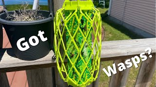 How to get rid of wasps around your deck or home.
