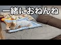 【睡眠】一緒におねんねしませんか？