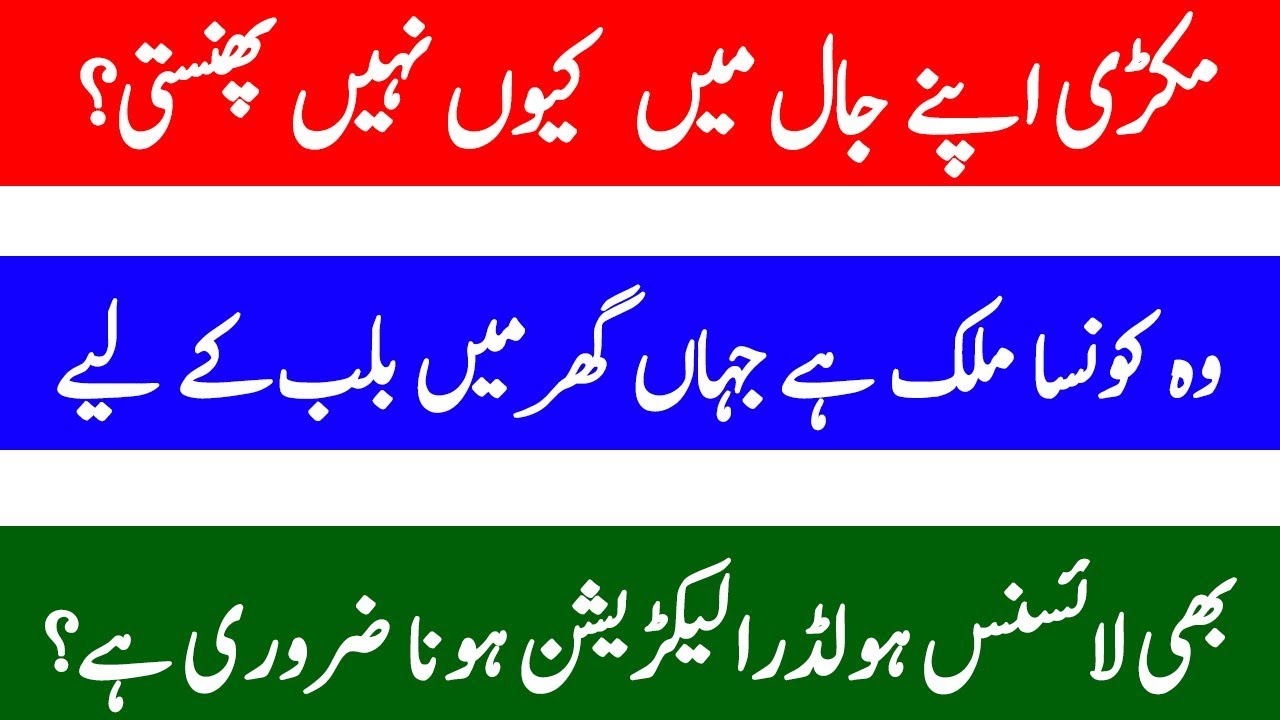 General knowledge questions and answers|Common sense quiz|Interesting information urdu - YouTube