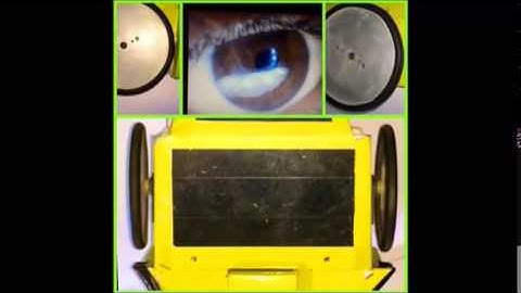 MOBILE ROBOT MOTION CONTROL BASED ON EYEBALL