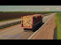 Sailun S758 Tire - Heavy-Duty On/Off-Road Traction for Commercial Trucks