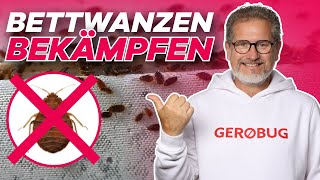 Bettwanzen SOFORT bekämpfen! So geht's!