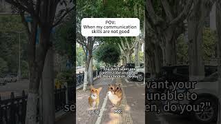 When My Communication Skills Are Not Good Viral