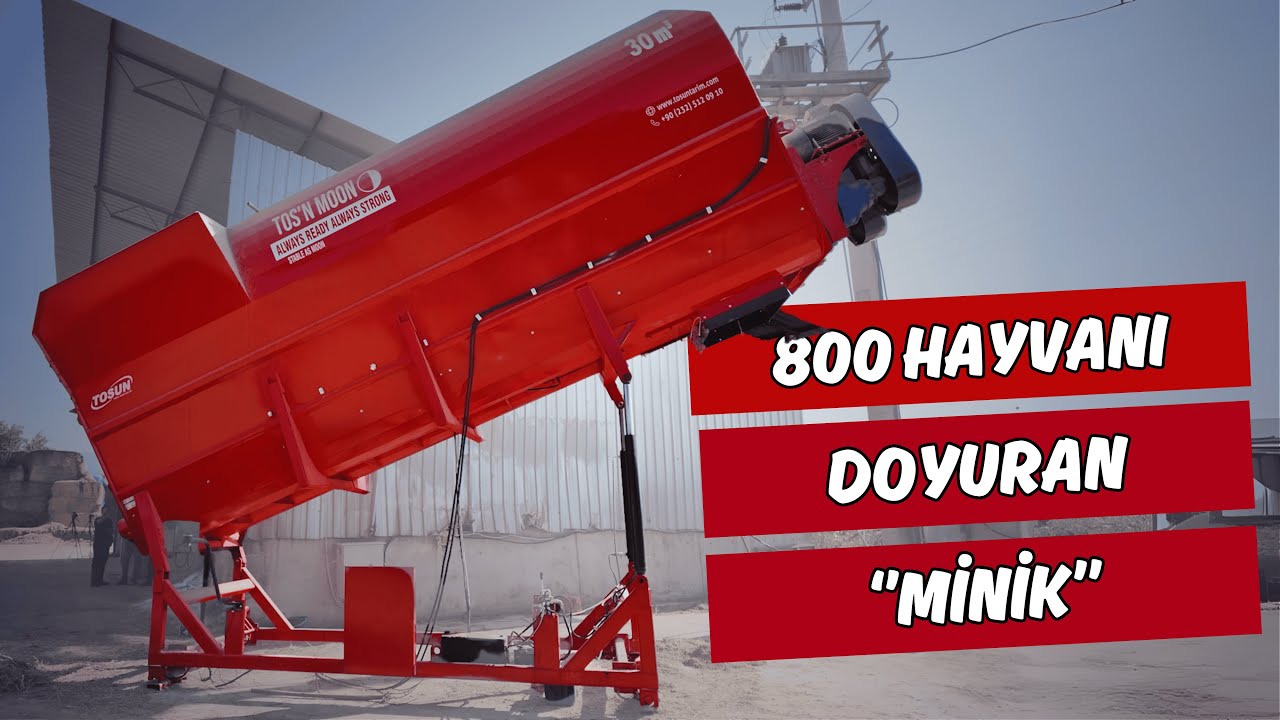 800 Hayvanın Karnını 